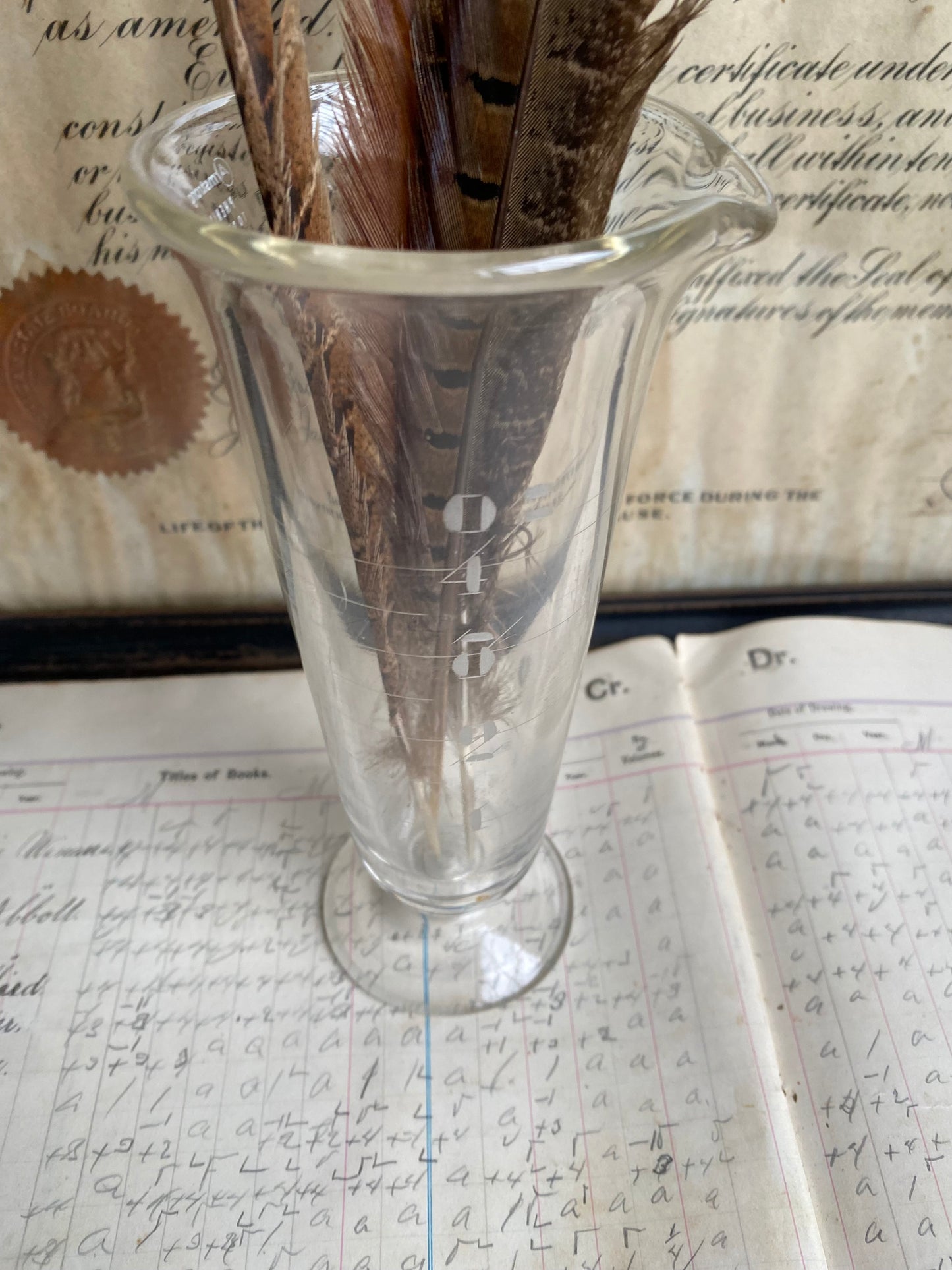 Vintage Etched Glass Graduated Cylinder With Feathers