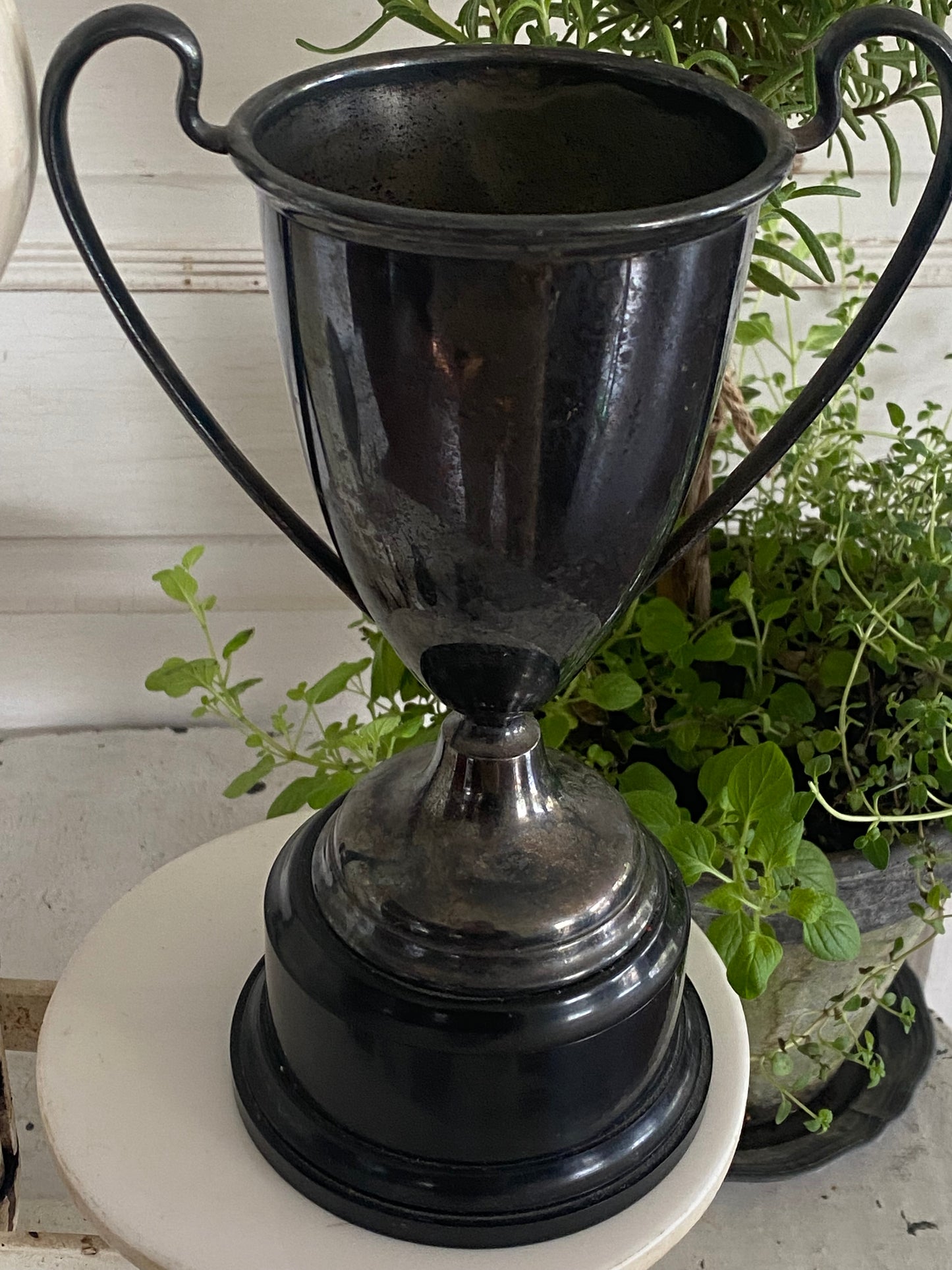 Vintage Best Yards Contest Loving Cup 8” tall - 1936