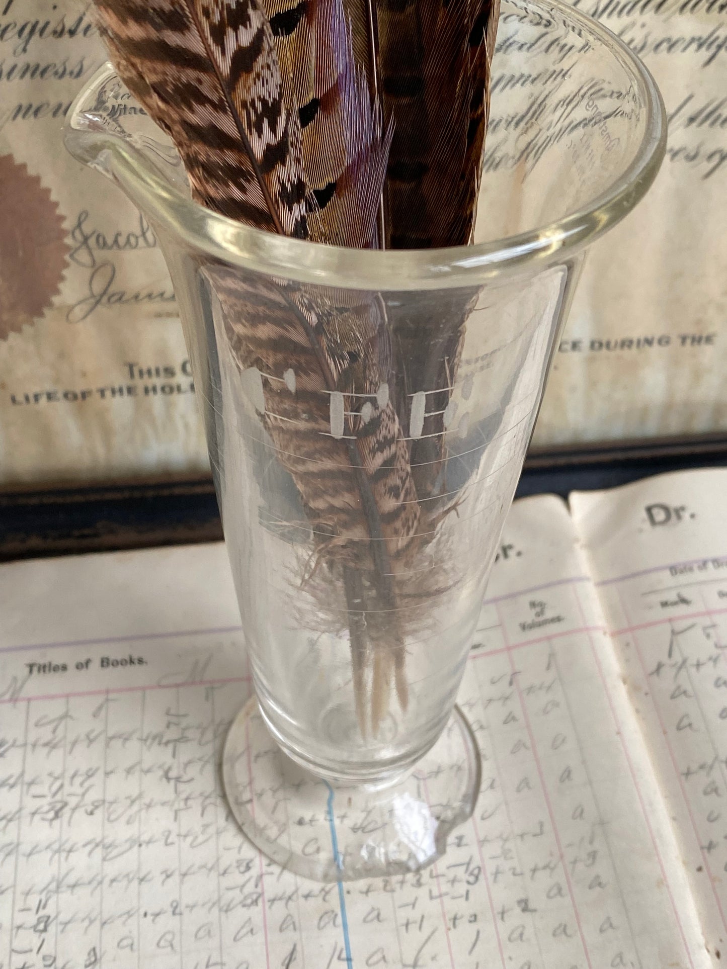 Vintage Etched Glass Graduated Cylinder With Feathers
