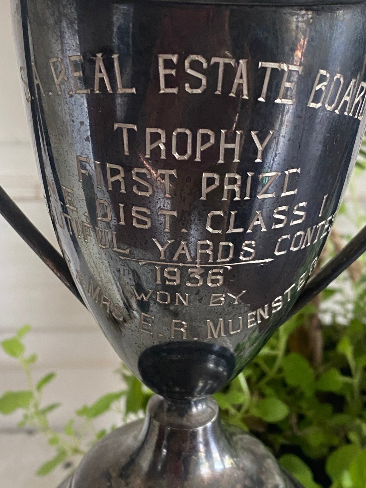 Vintage Best Yards Contest Loving Cup 8” tall - 1936