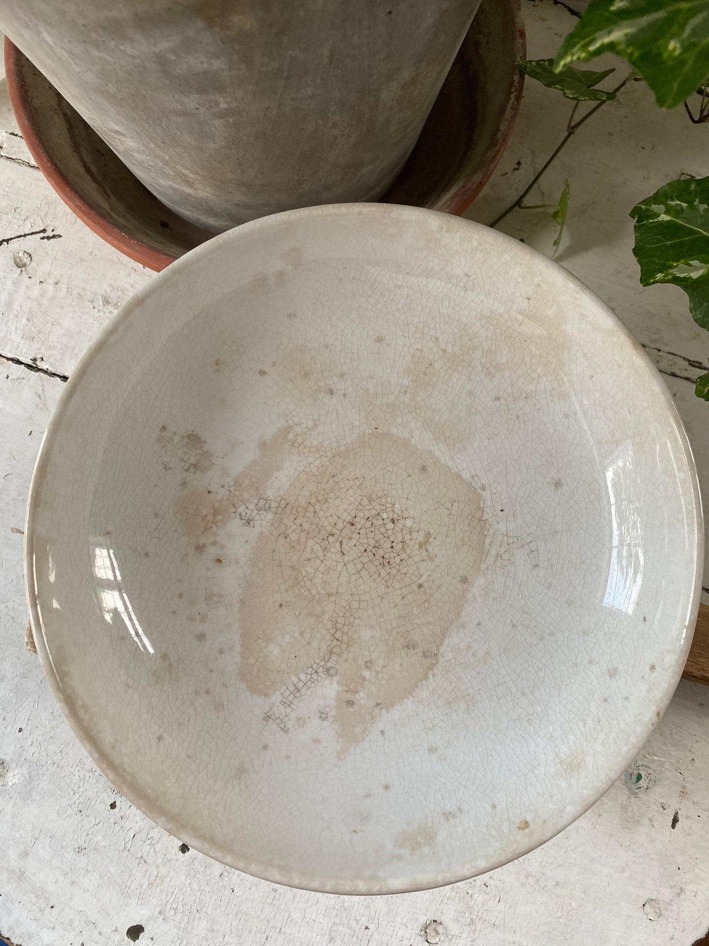 Antique Ironstone Compote - Burgess and Campbell marked