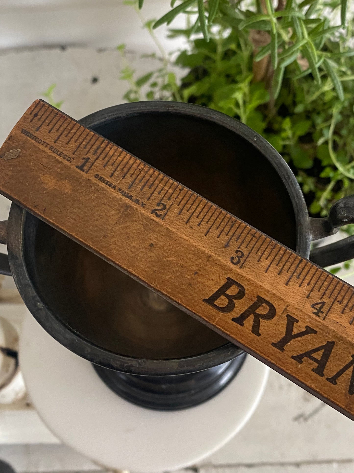 Vintage Best Yards Contest Loving Cup 8” tall - 1936