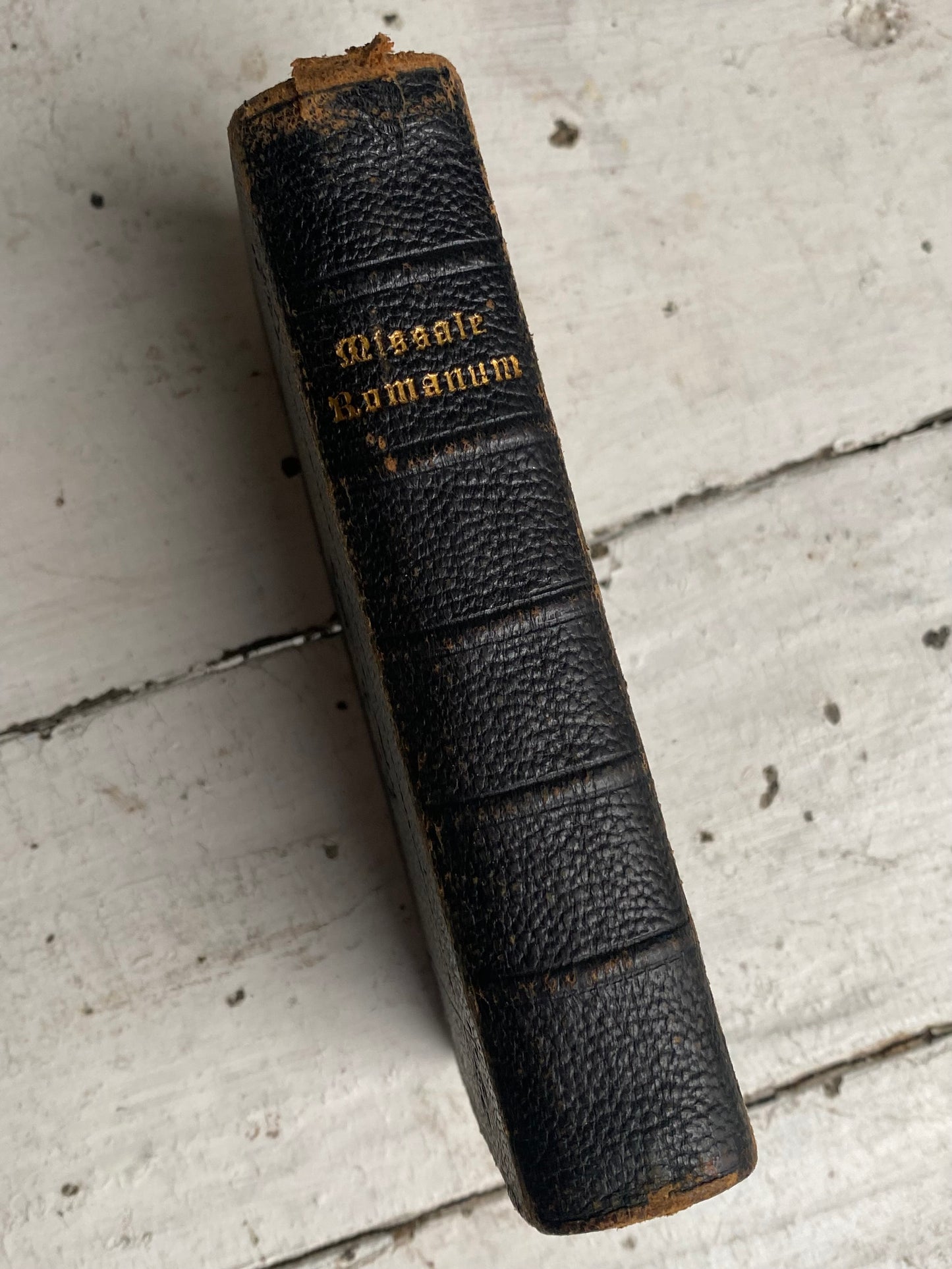 Vintage Latin Book - 1905