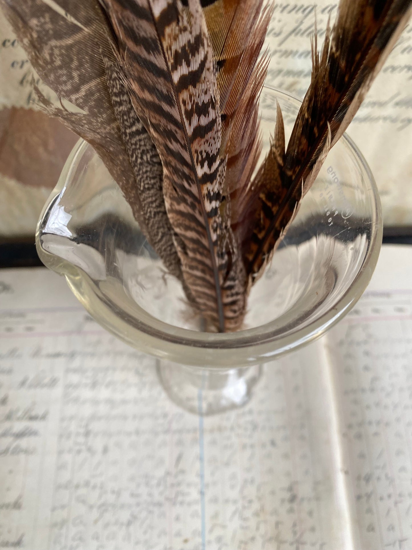 Vintage Etched Glass Graduated Cylinder With Feathers