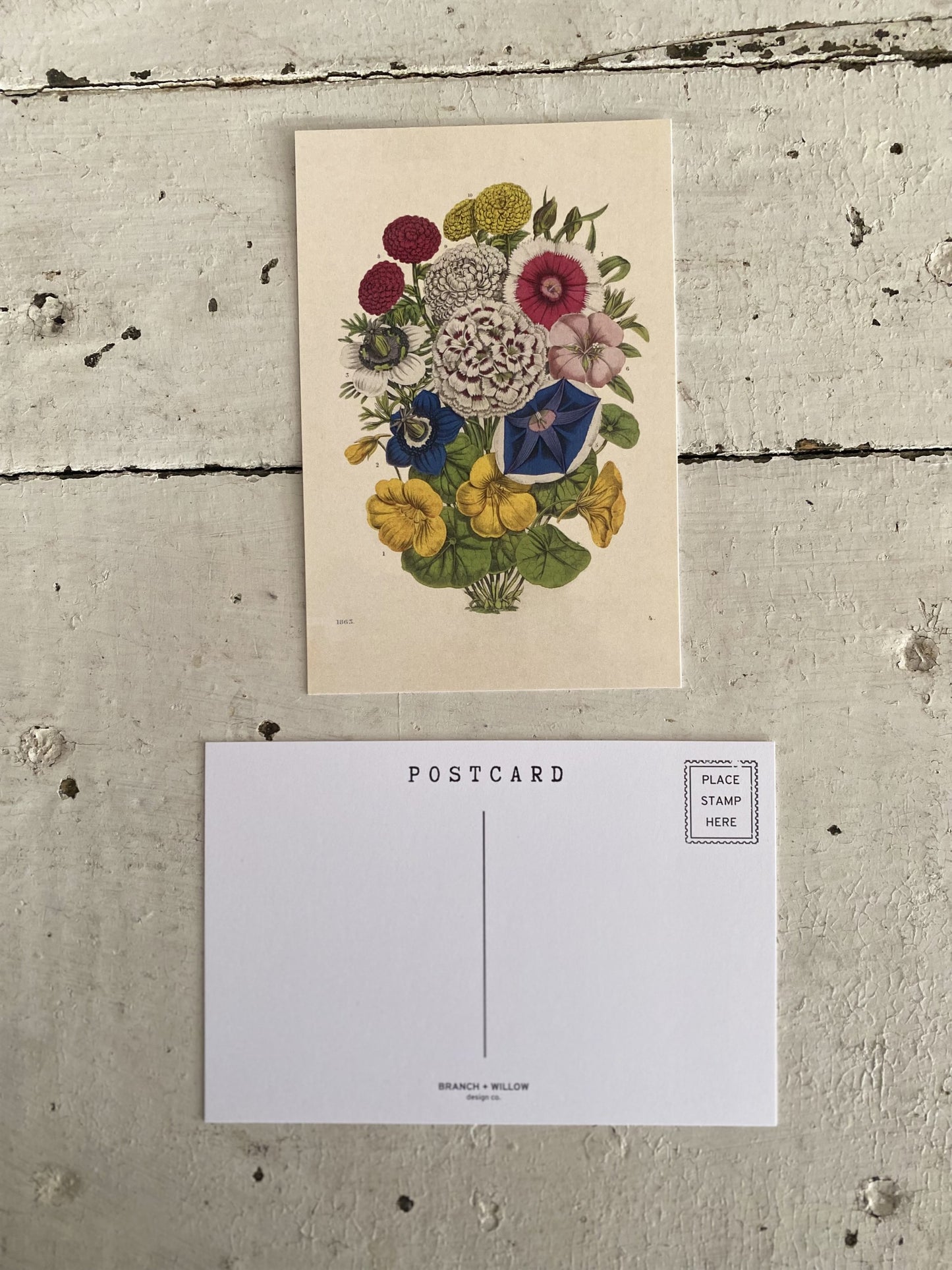 Multi Flower Bouquet Postcards - Set of 10