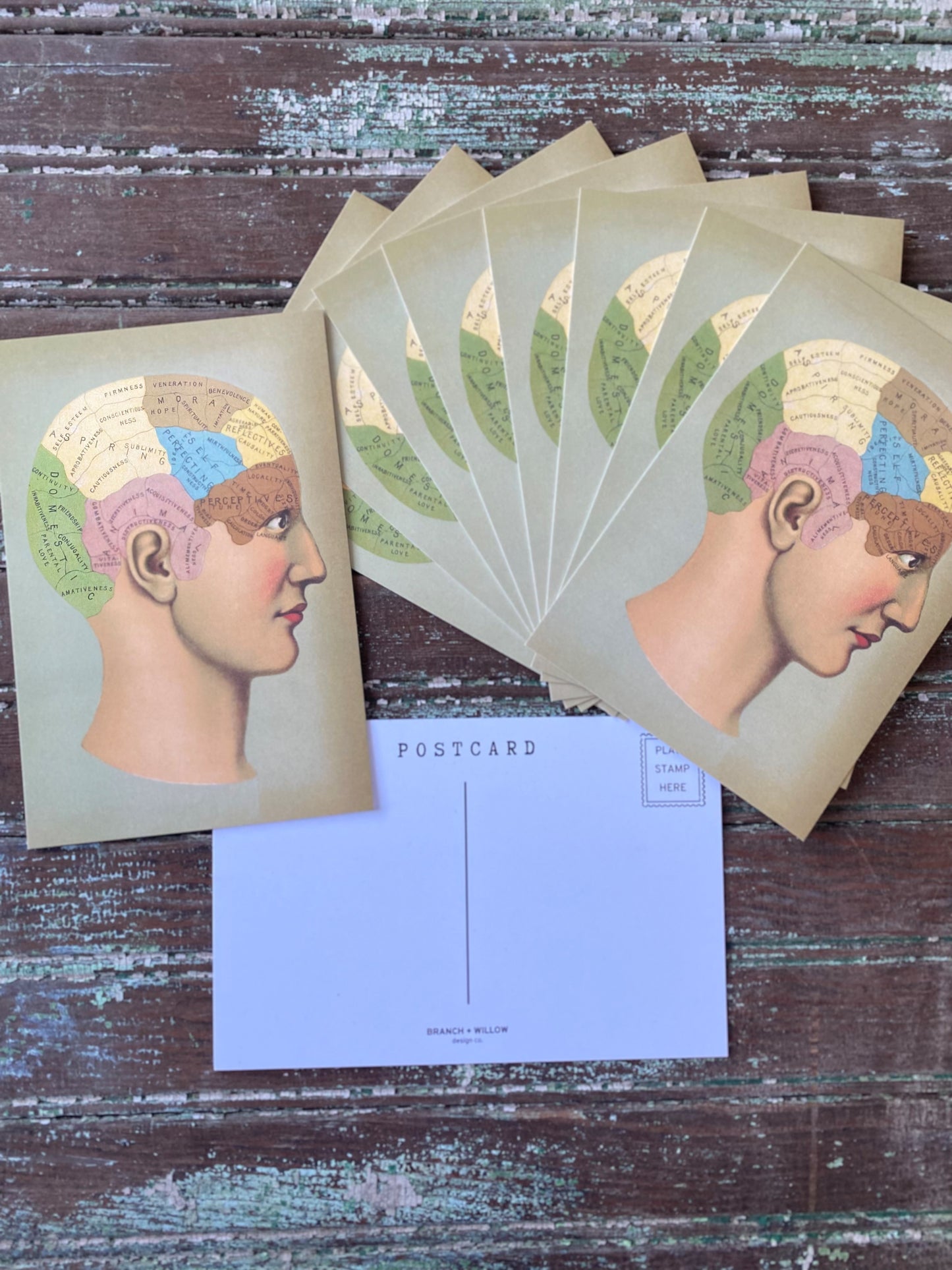 Brain Postcards - Set of 10