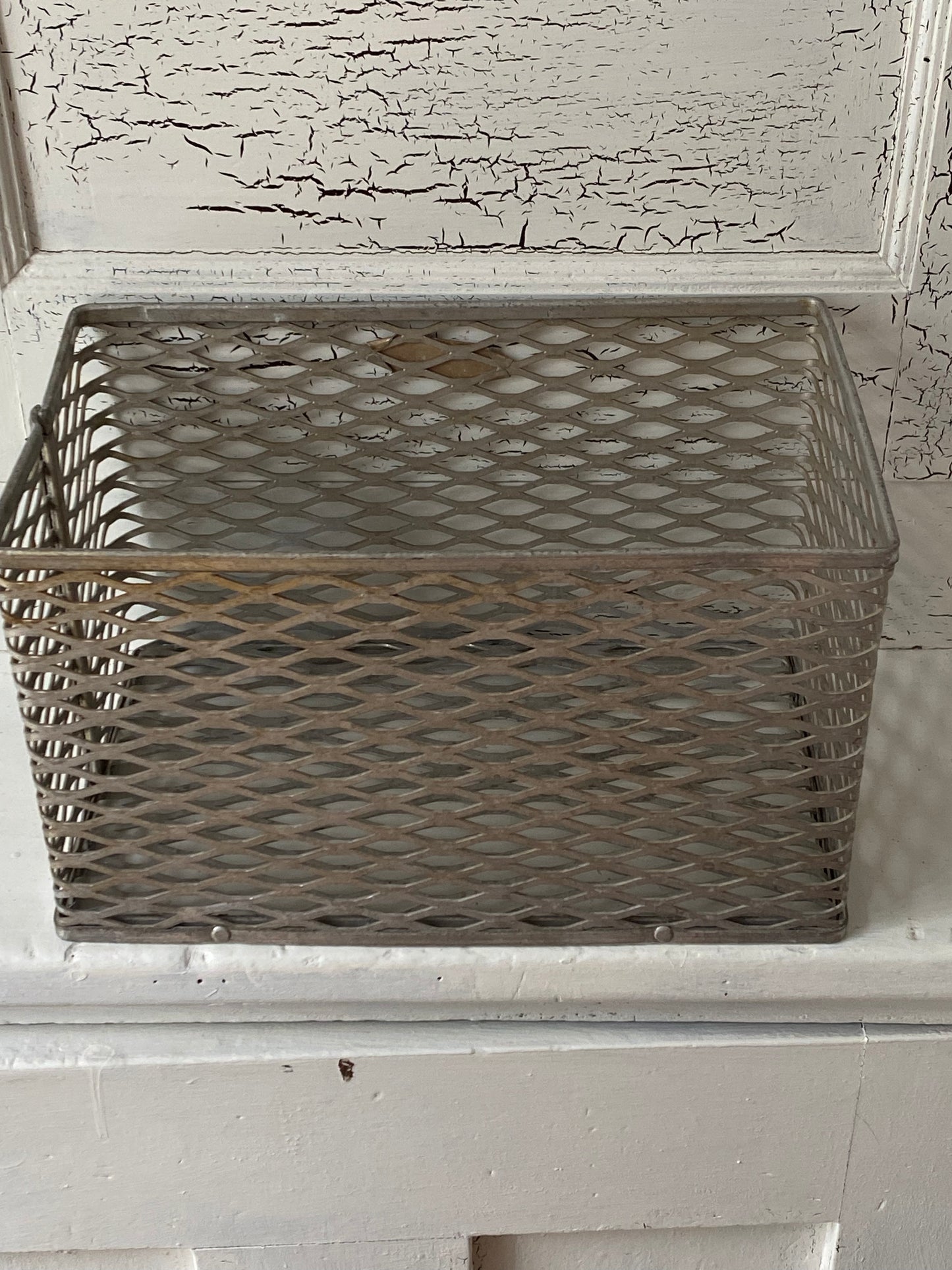 Vintage Large Scientific Products Metal Basket