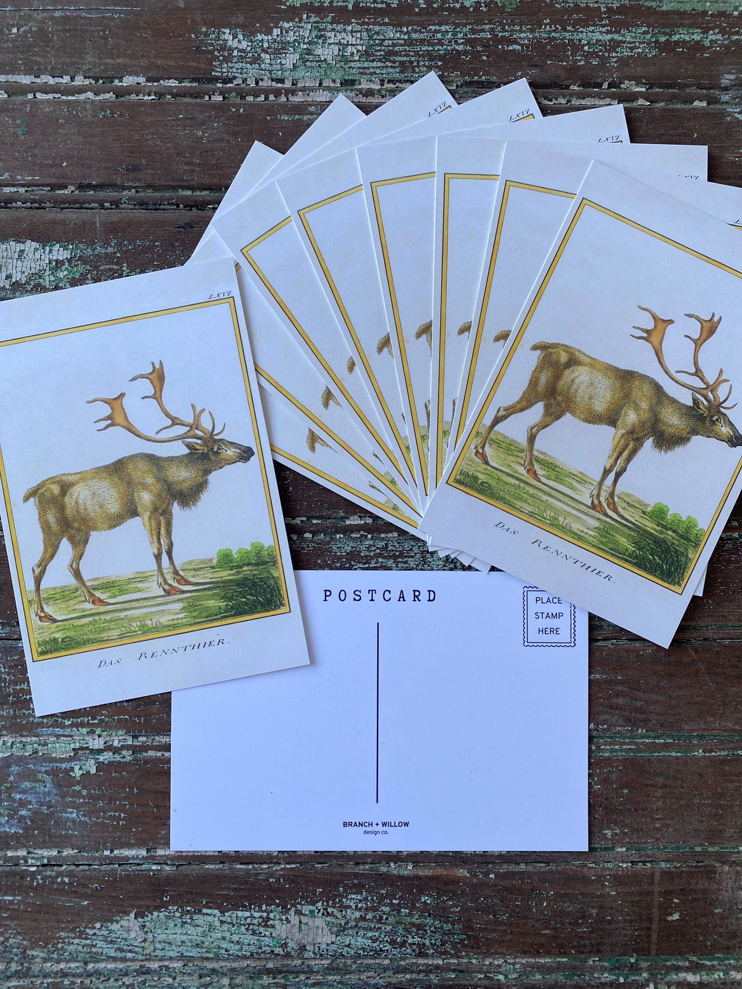 Reindeer Postcards - Set of 10