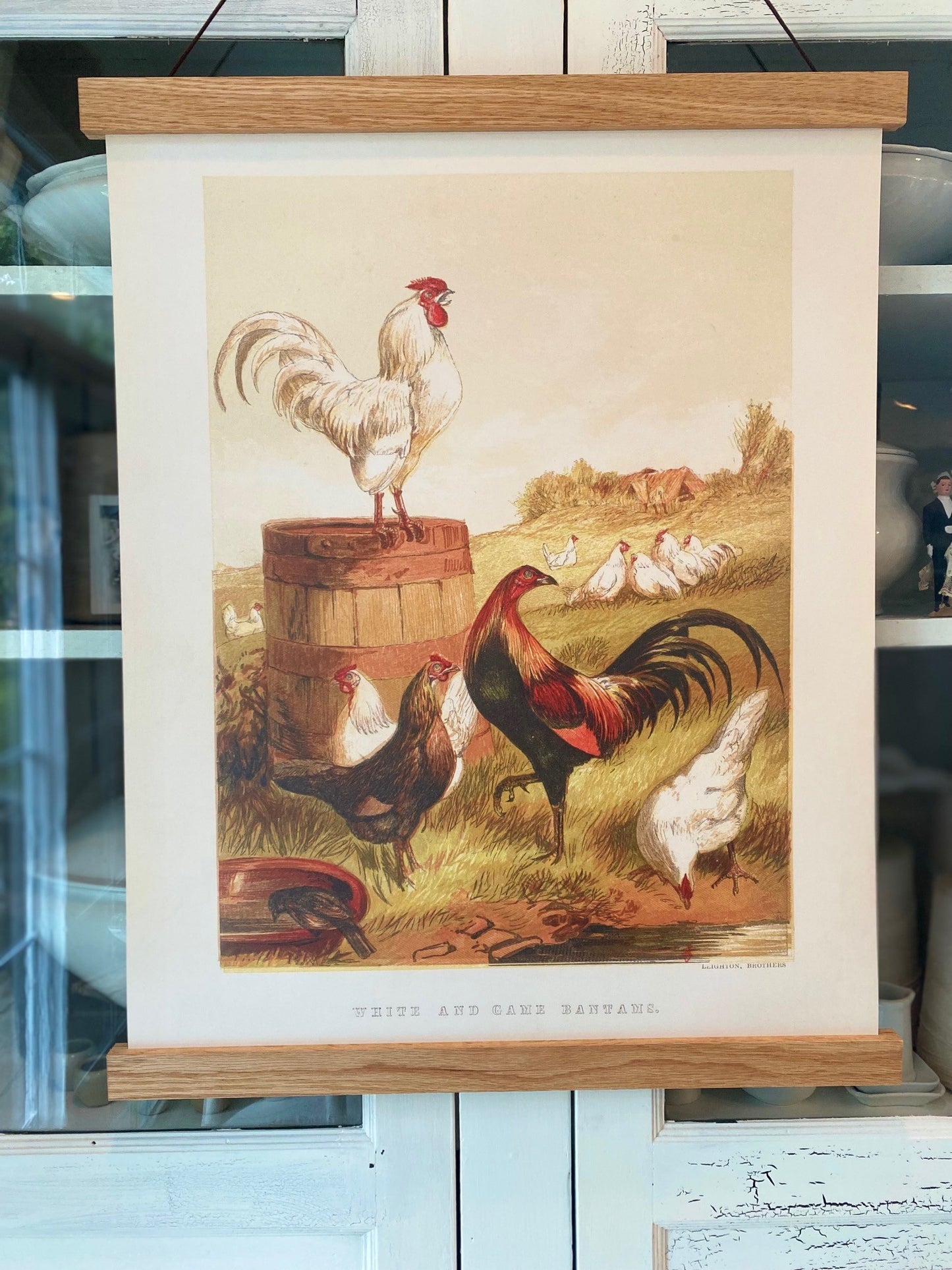 White and Game Bantams "Grand" Art Print (ART PRINT ONLY)