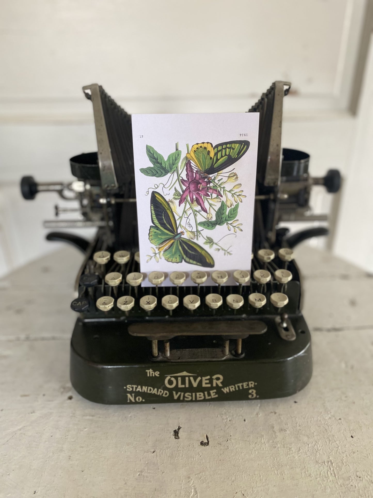 Green Butterfly Postcards - Set of 10