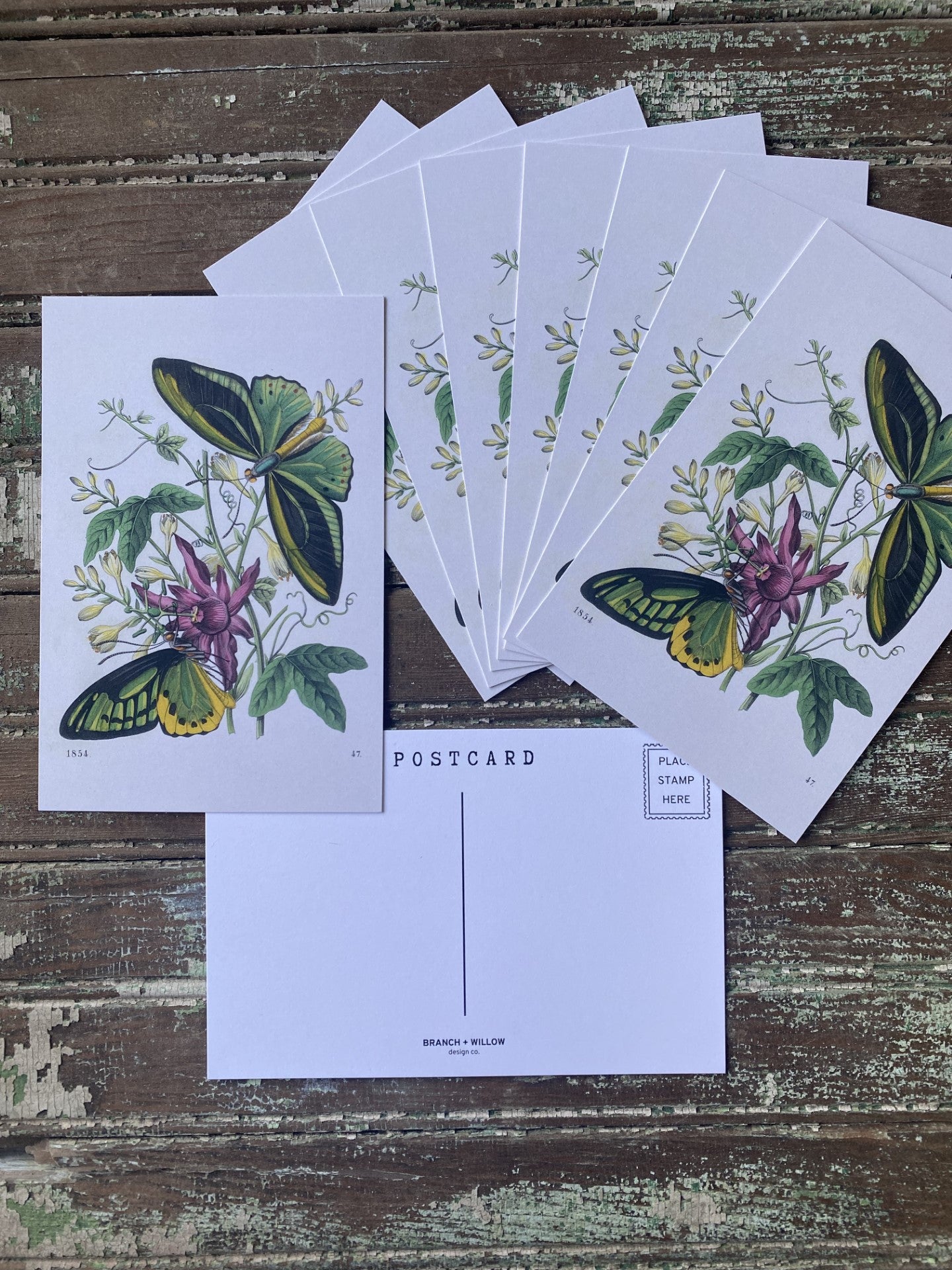 Green Butterfly Postcards - Set of 10