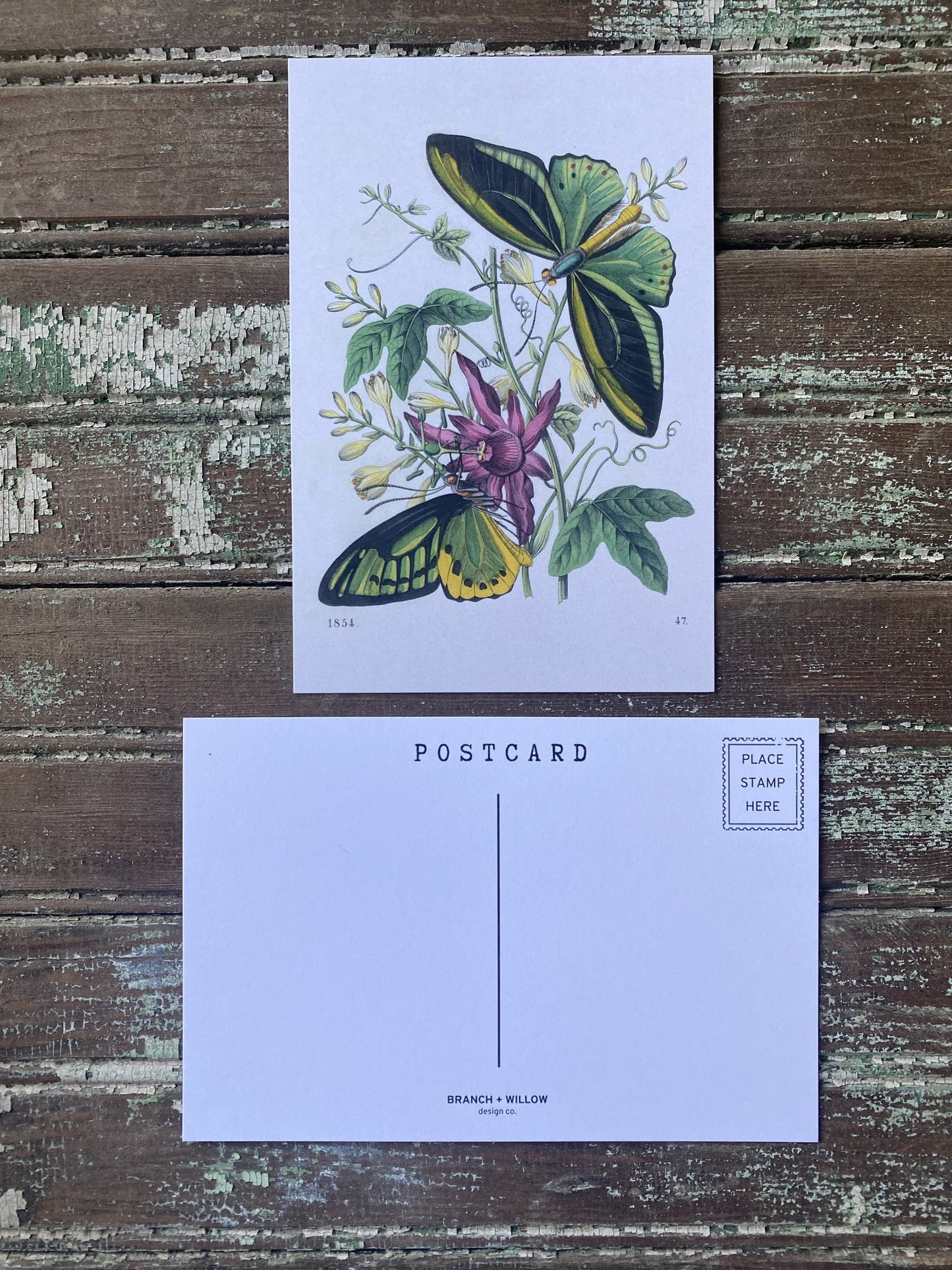 Green Butterfly Postcards - Set of 10