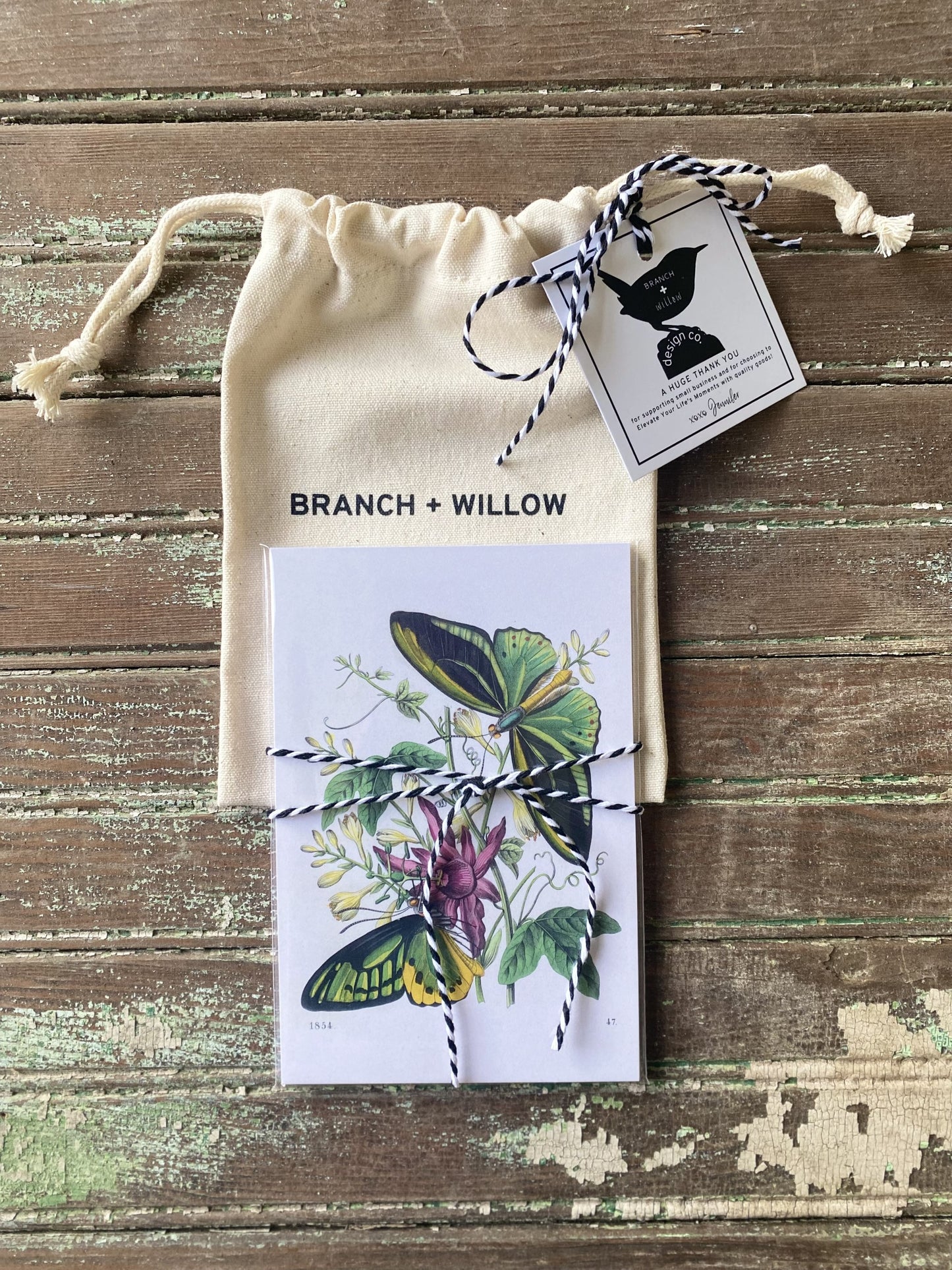 Green Butterfly Postcards - Set of 10