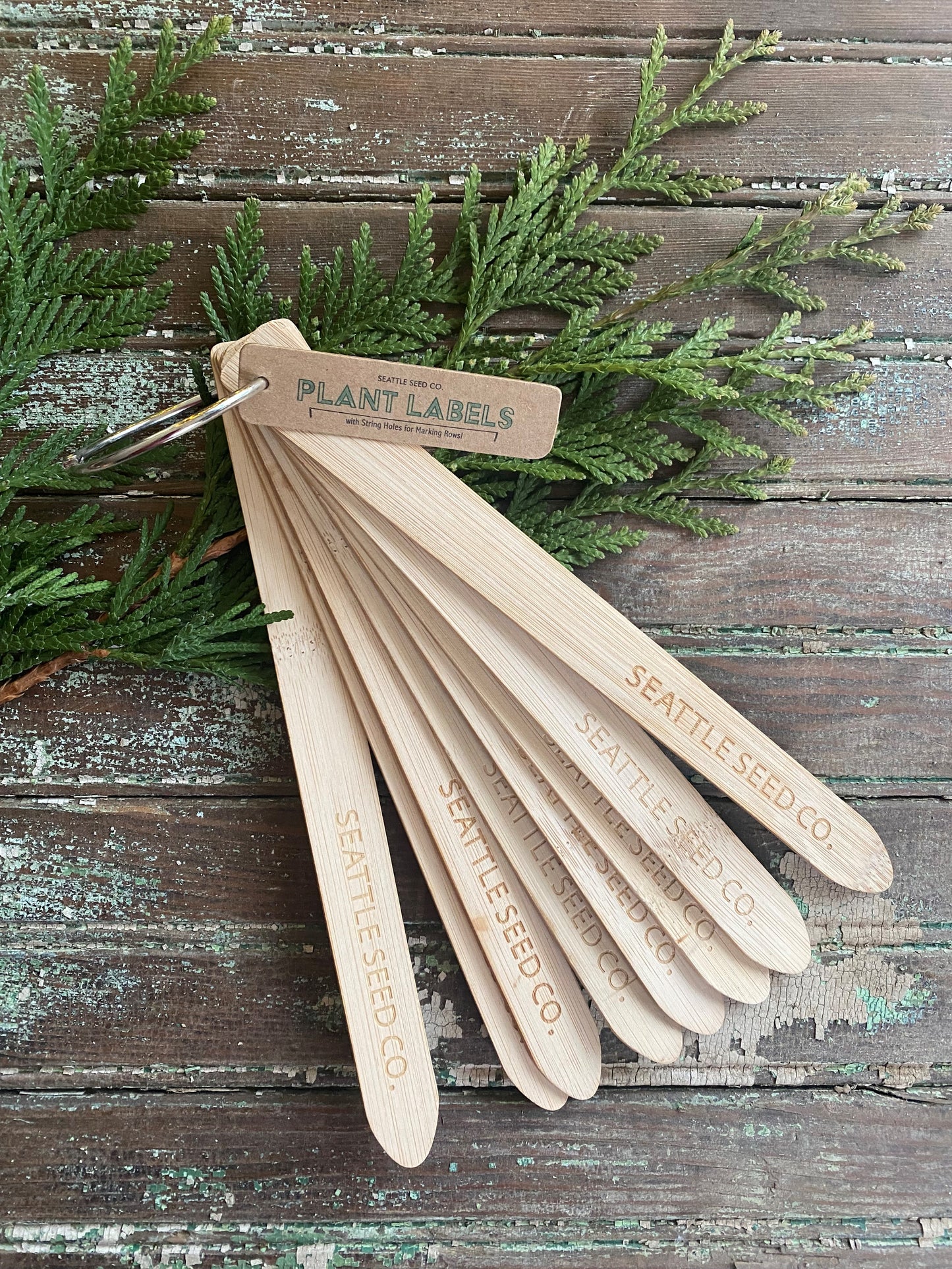 Plant Markers - Set of 8