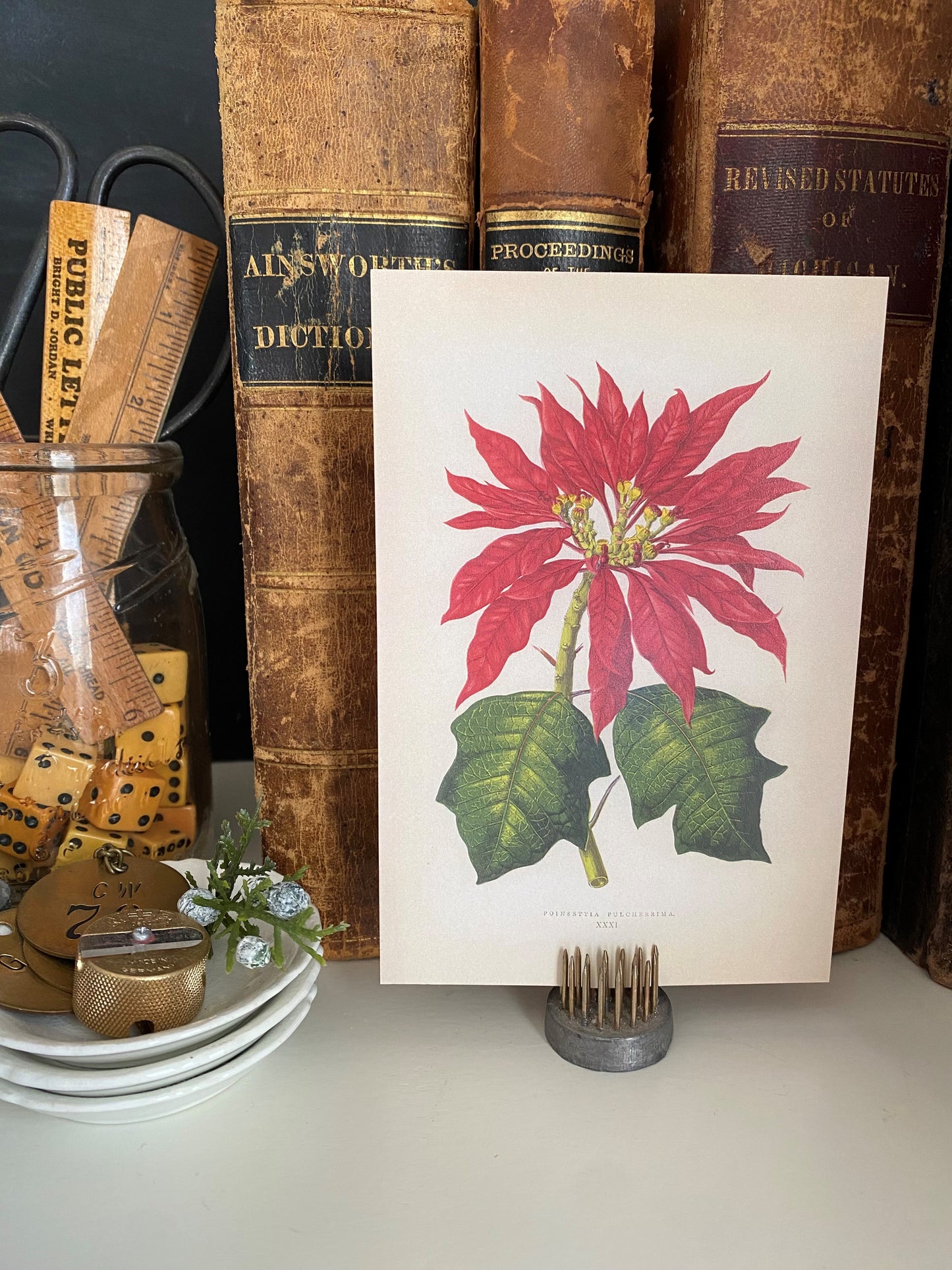 Poinsettia Postcards - Set of 10