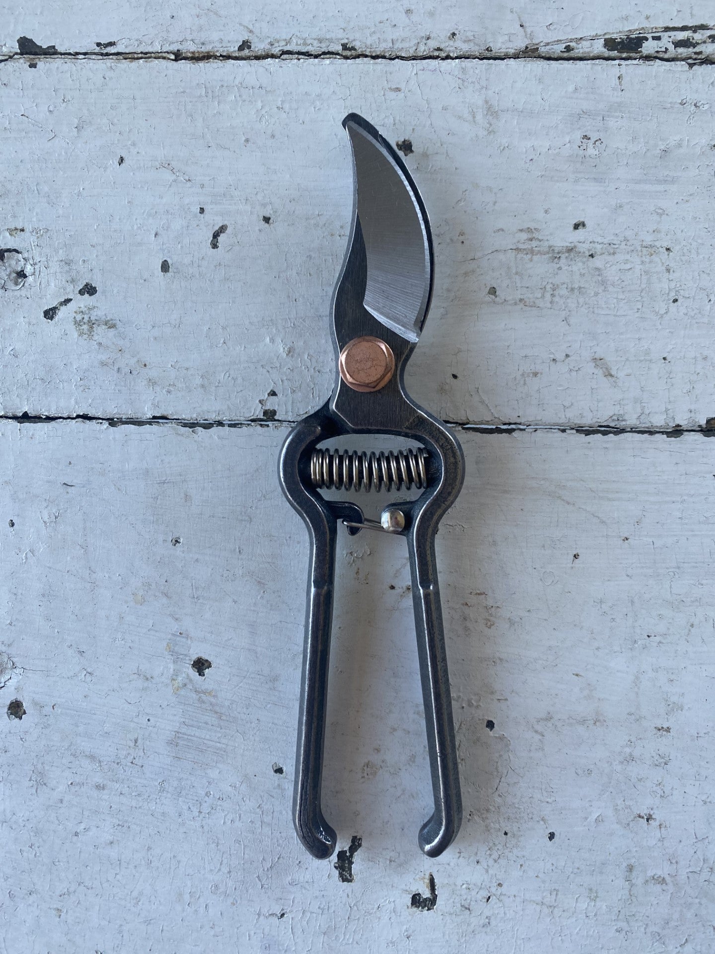 Steel Pruner Clippers