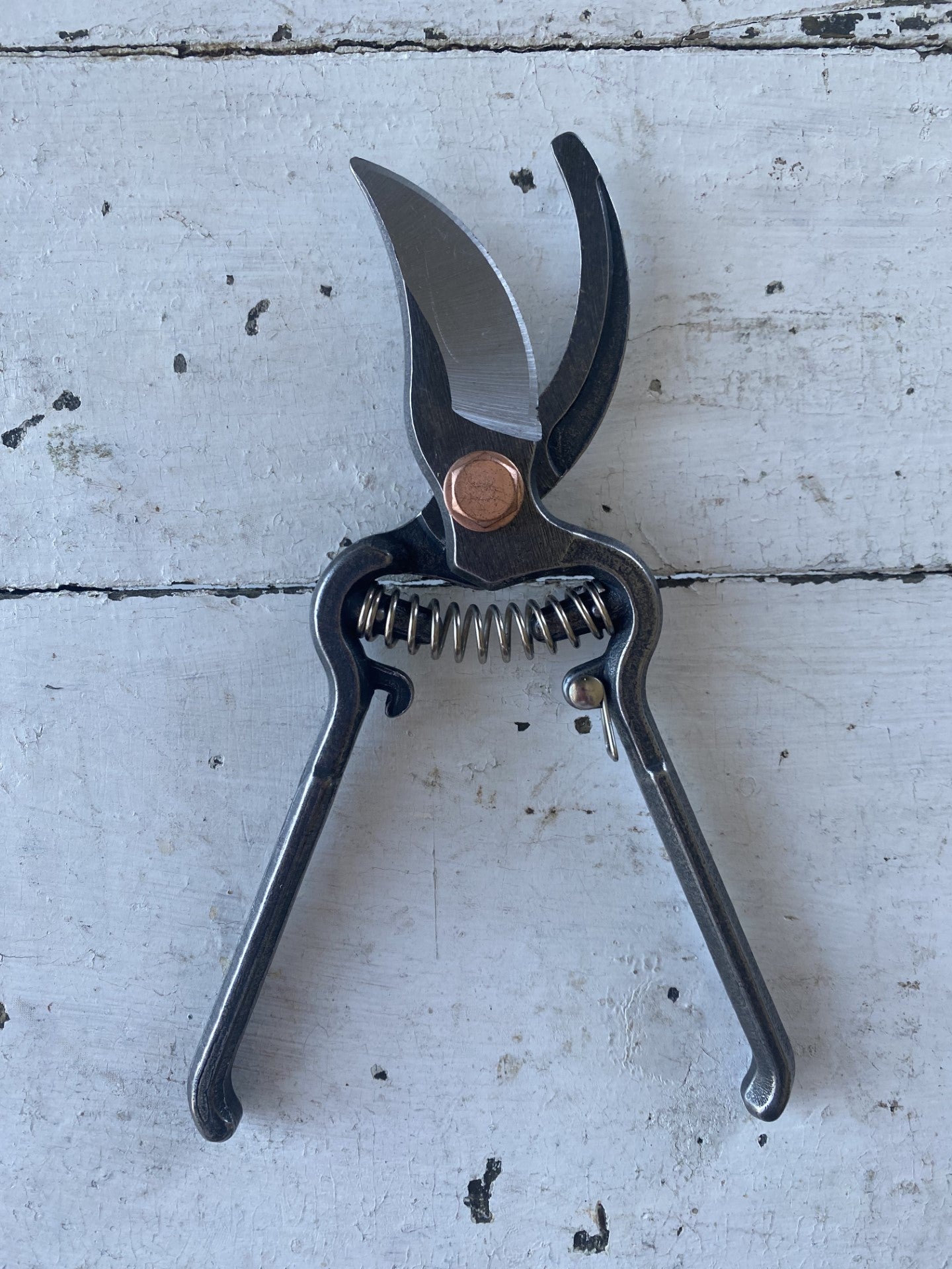 Steel Pruner Clippers