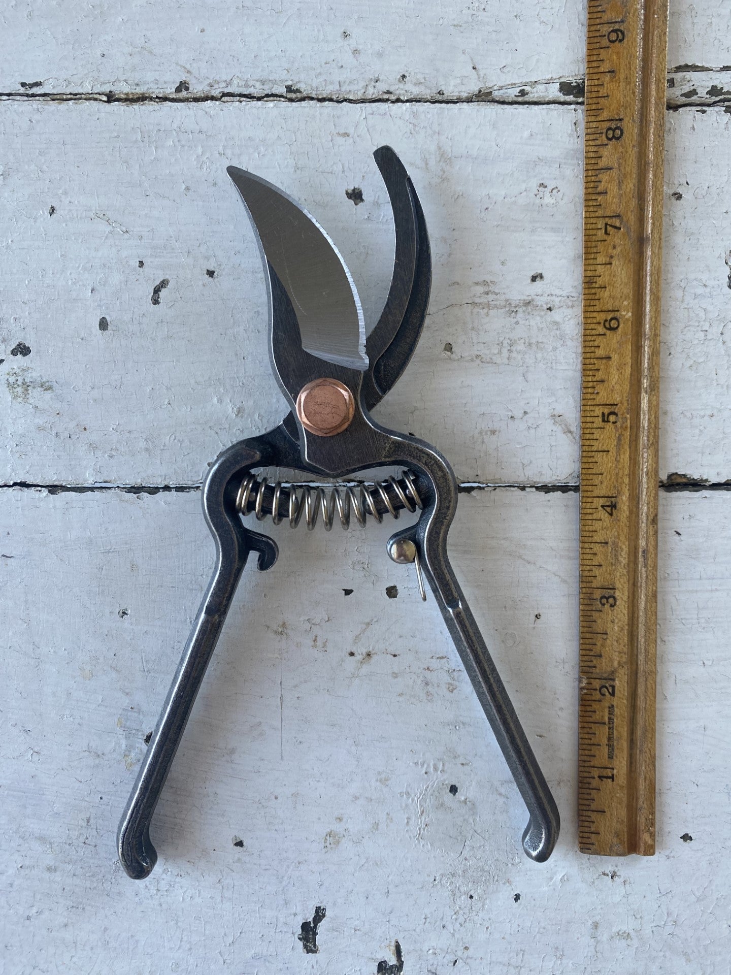 Steel Pruner Clippers