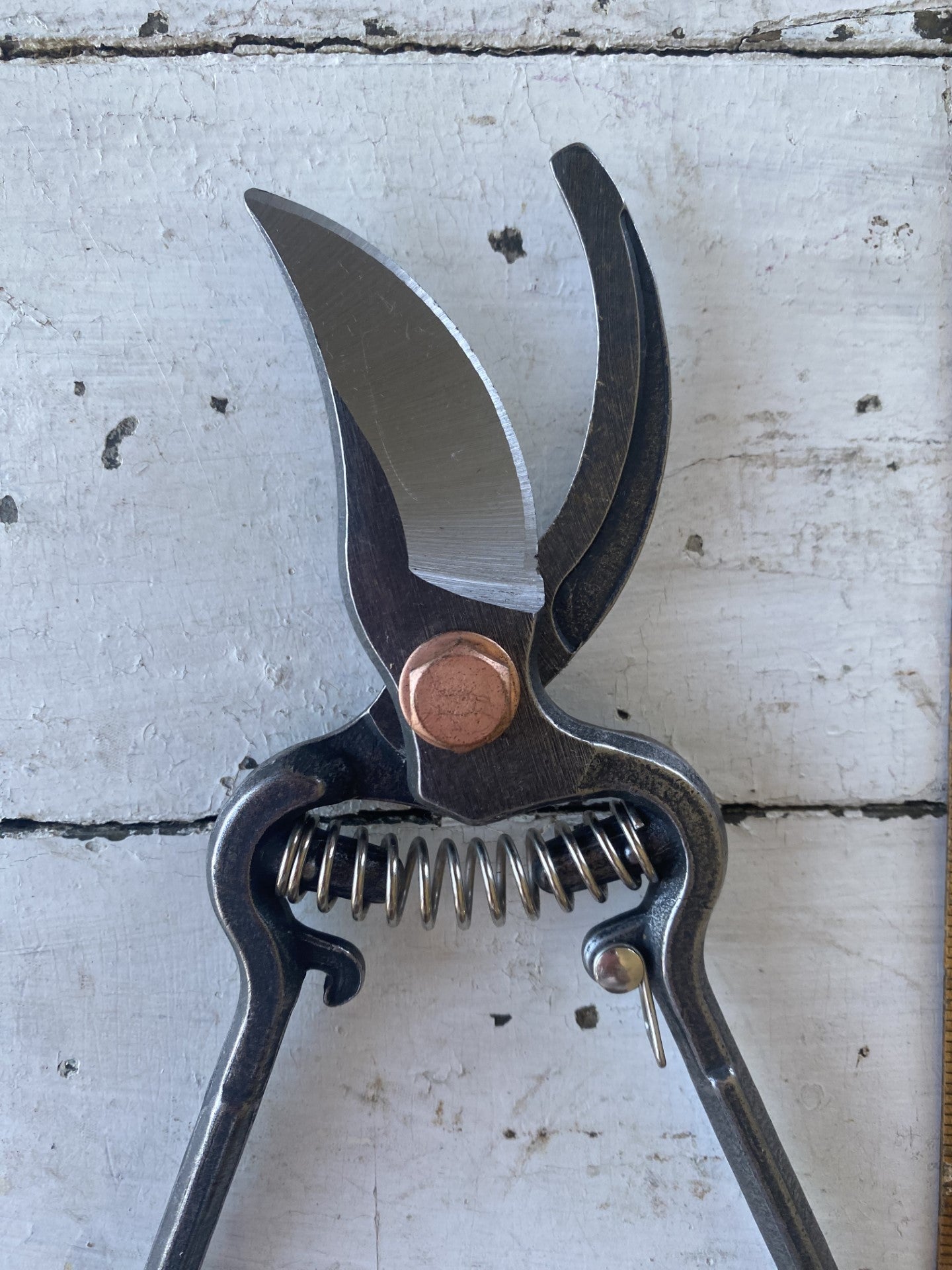 Steel Pruner Clippers