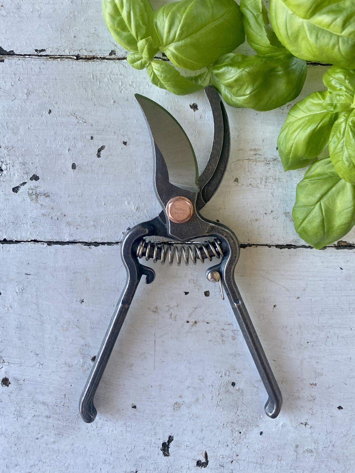 Steel Pruner Clippers