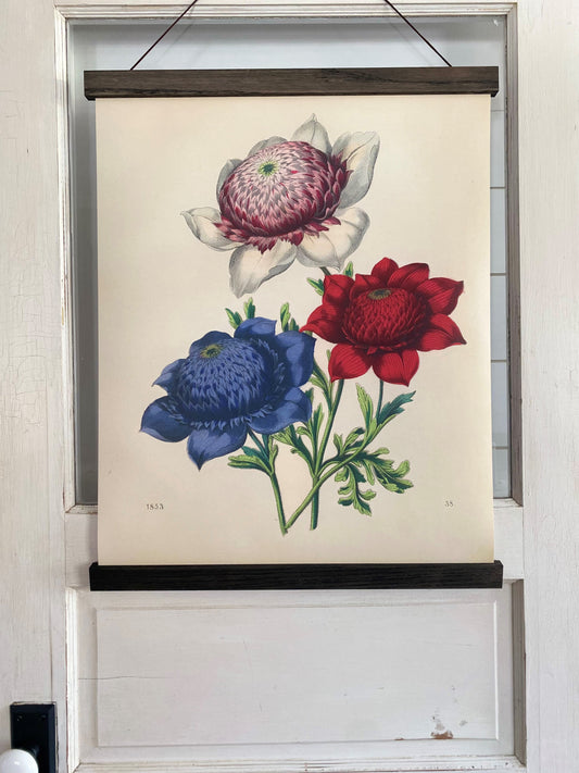 Red, White, and Blue Flowers "Grand" Art Print (ART PRINT ONLY)