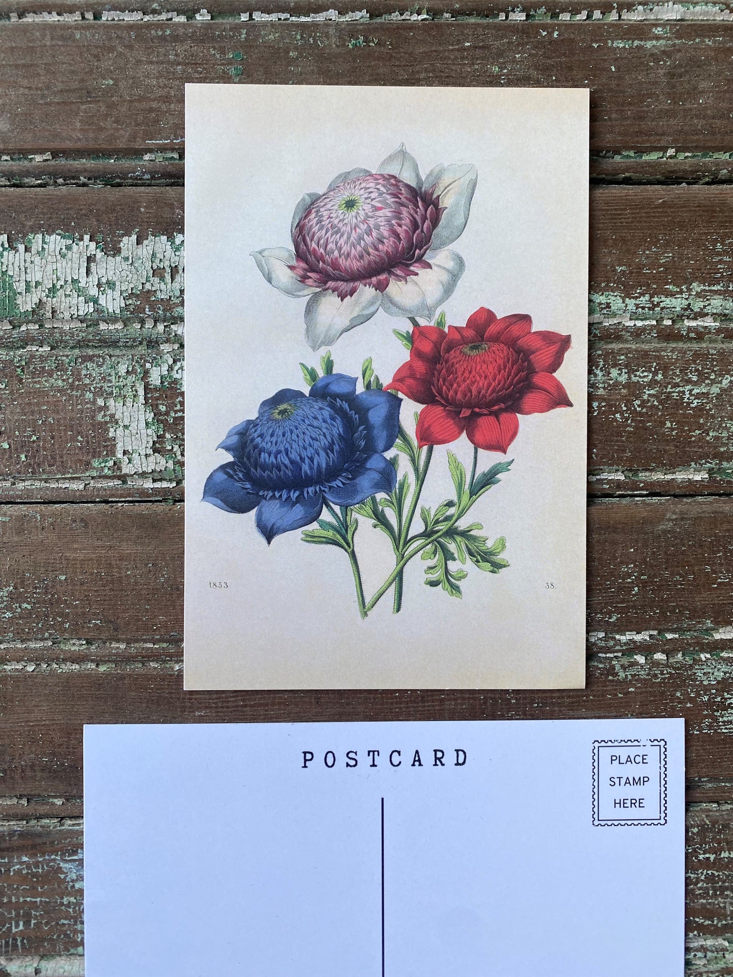 Red, White, and Blue Flower Bouquet Postcards - Set of 10