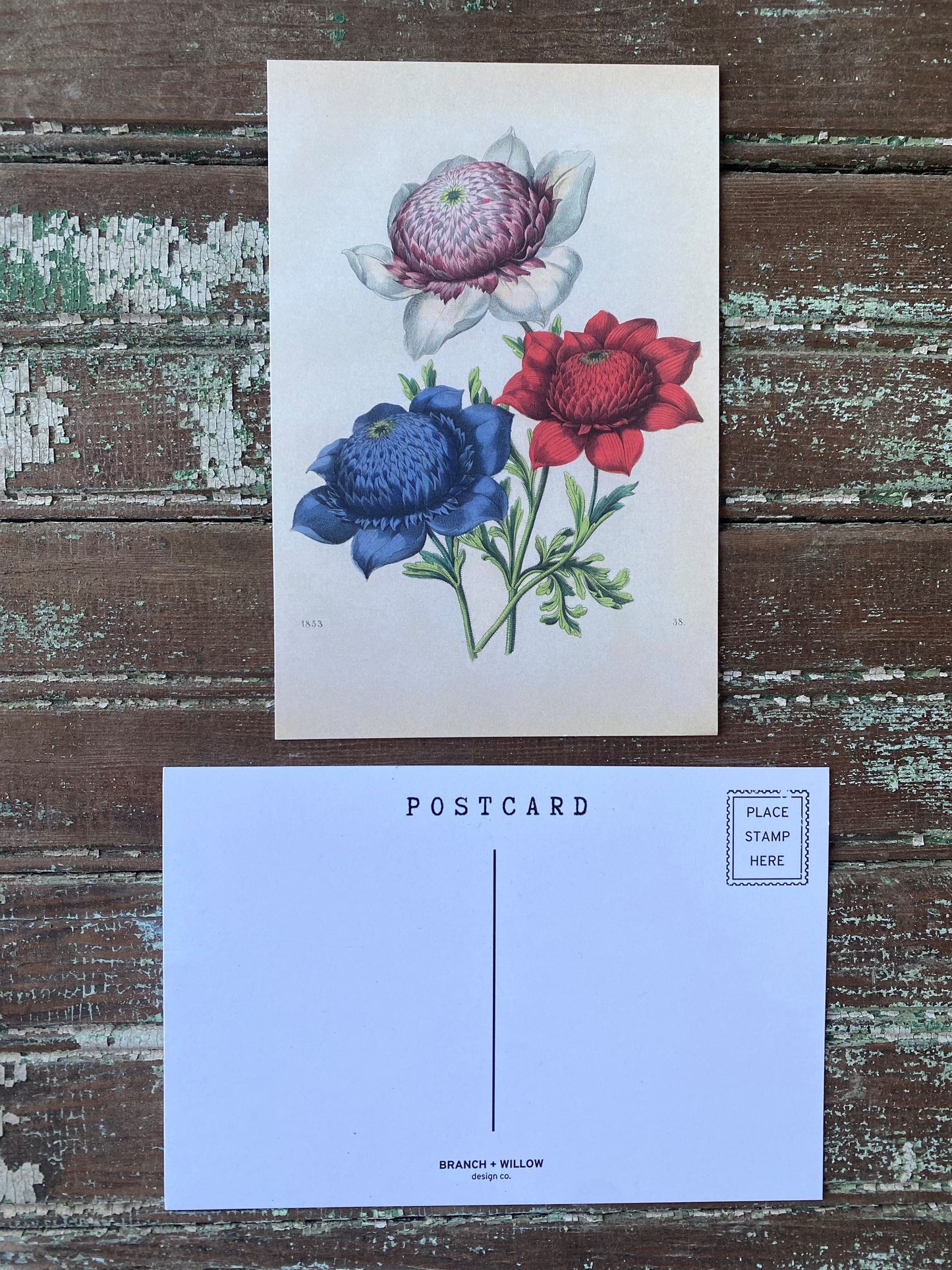 Red, White, and Blue Flower Bouquet Postcards - Set of 10