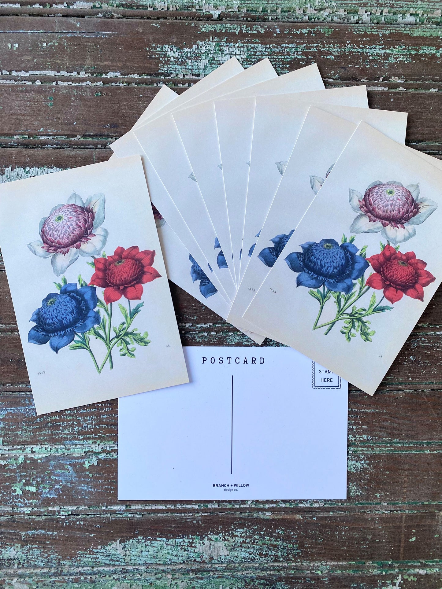 Red, White, and Blue Flower Bouquet Postcards - Set of 10