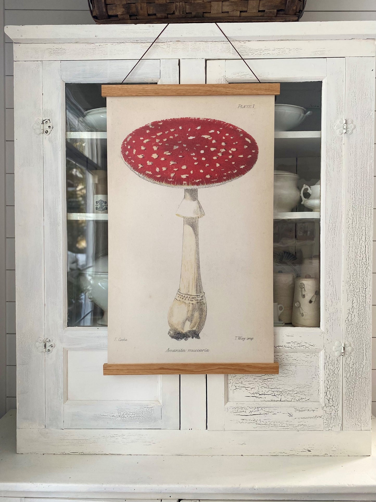 Red Single Mushroom "Grand" Art Print (ART PRINT ONLY)