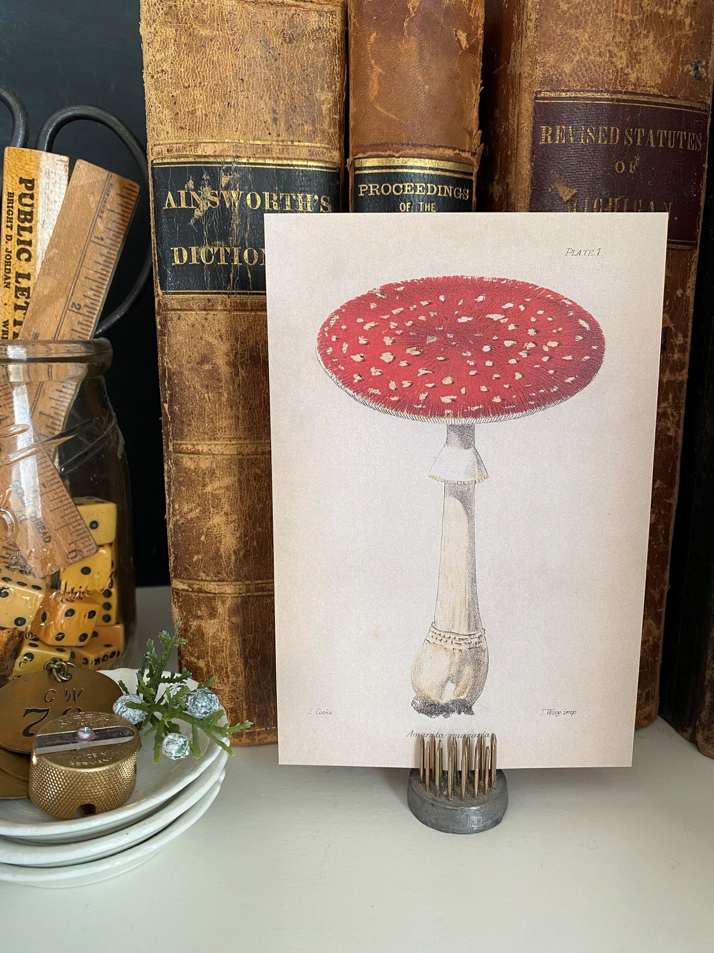 Red Mushroom Postcards - Set of 10