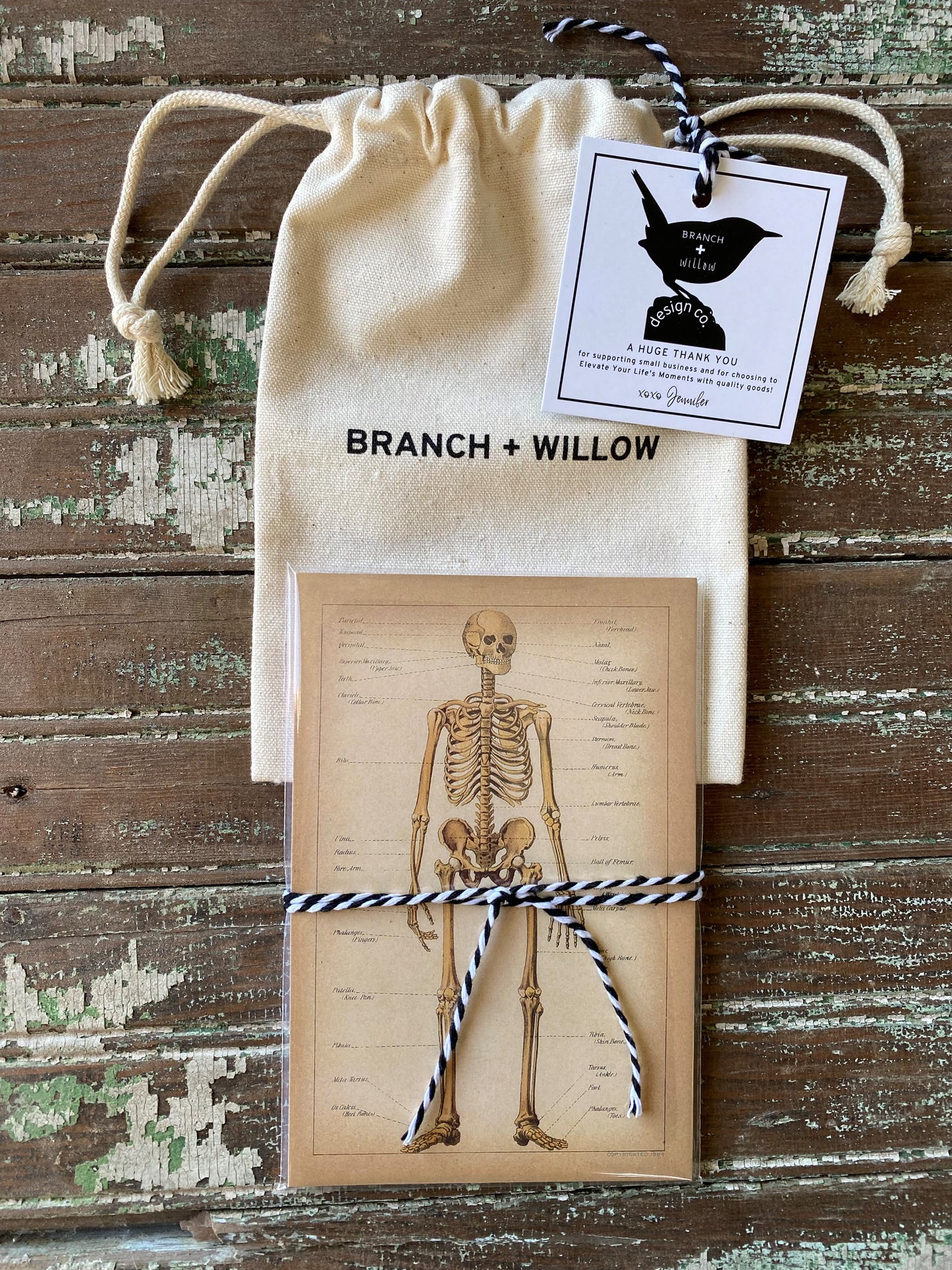 Skeleton Postcards - Set of 10