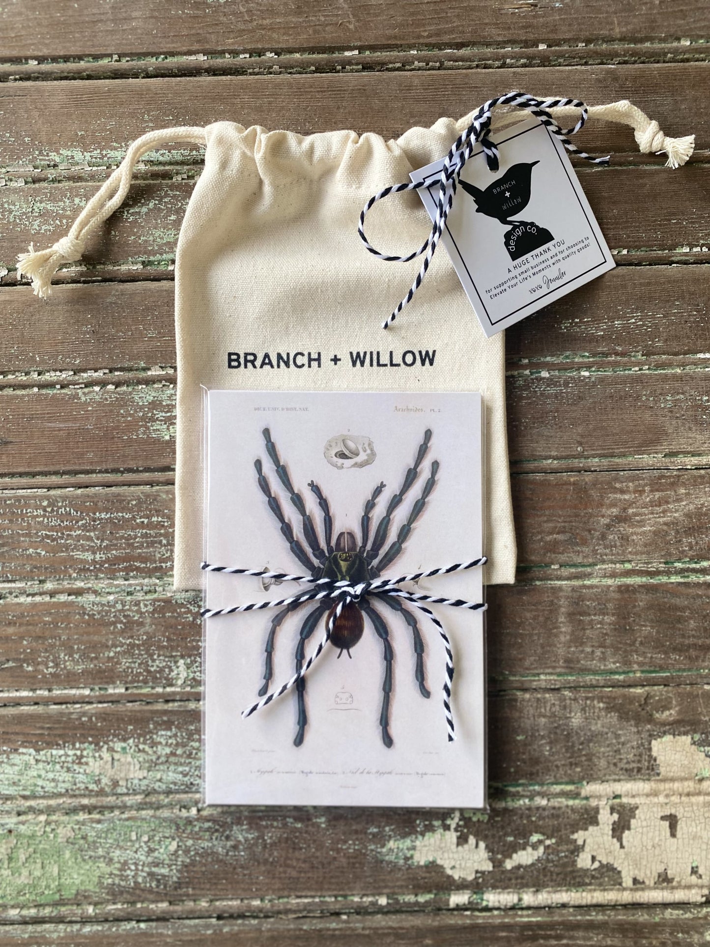 Tarantula Postcards - Set of 10