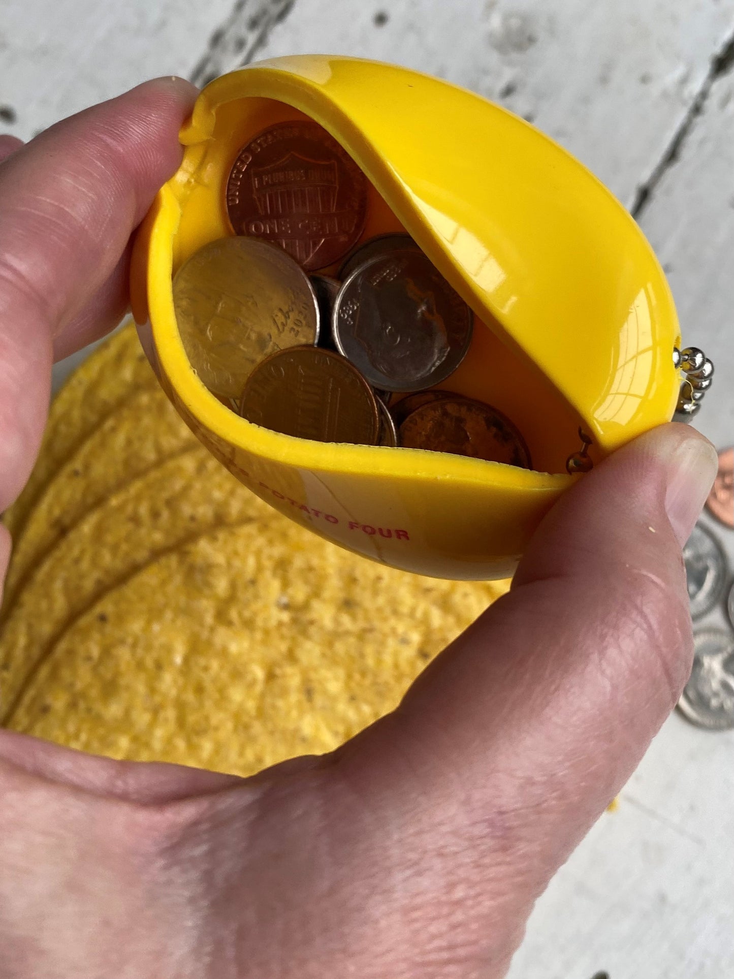 Coin Pouch - Taco