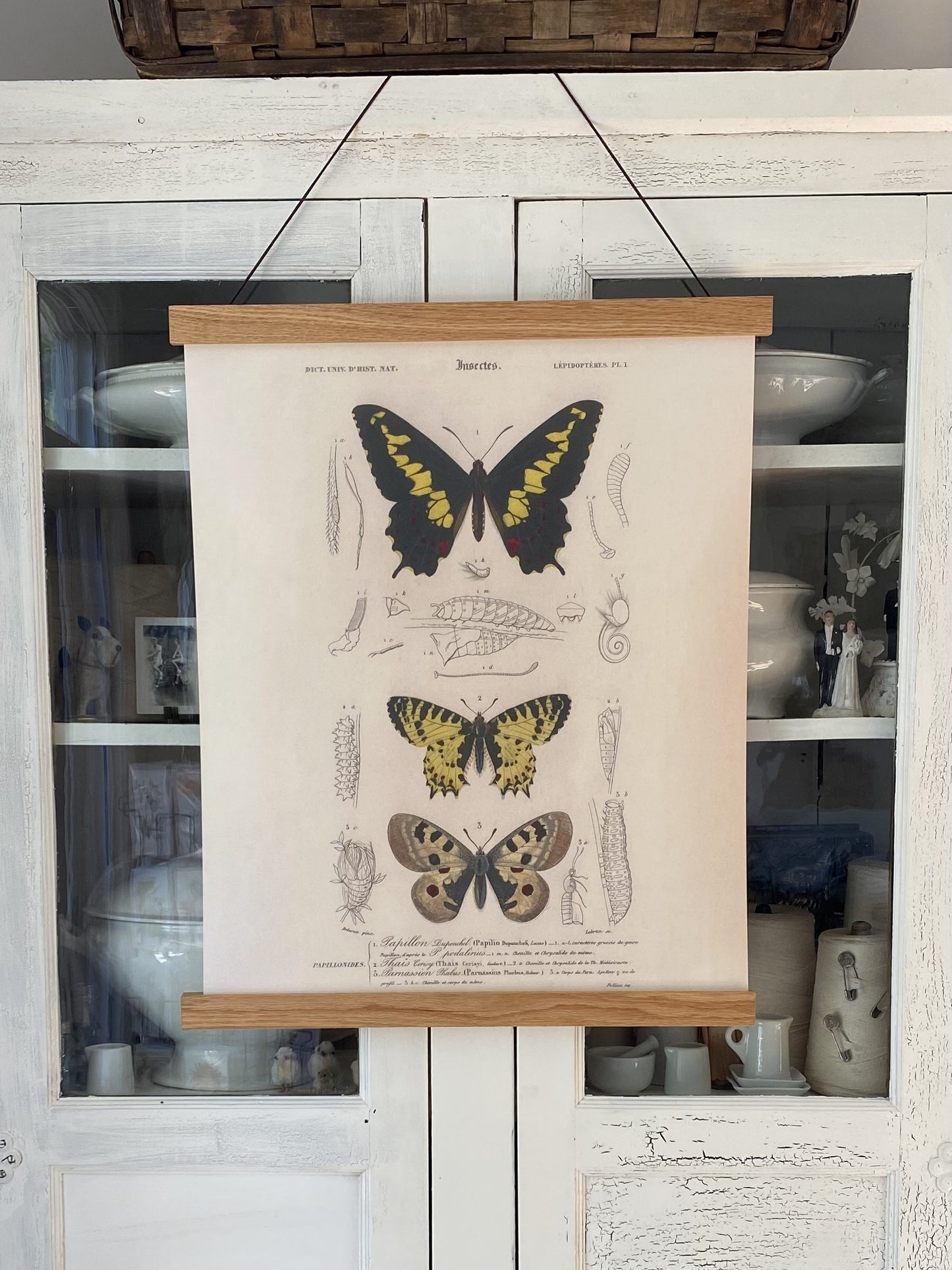 Yellow Butterflies "Grand" Art Print (ART PRINT ONLY)