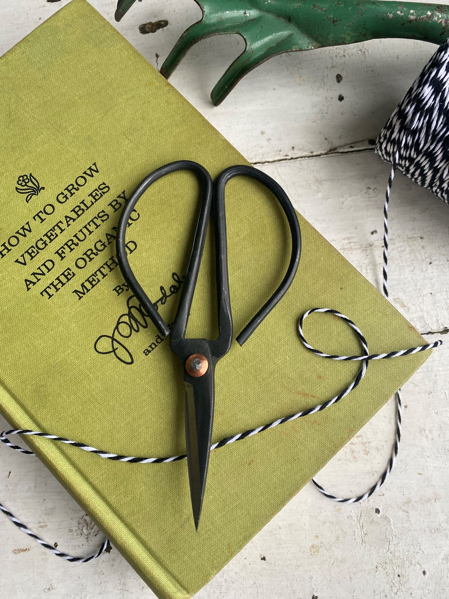 pair of black steel gardening shears laying on top of a vintage green book with black and white twine